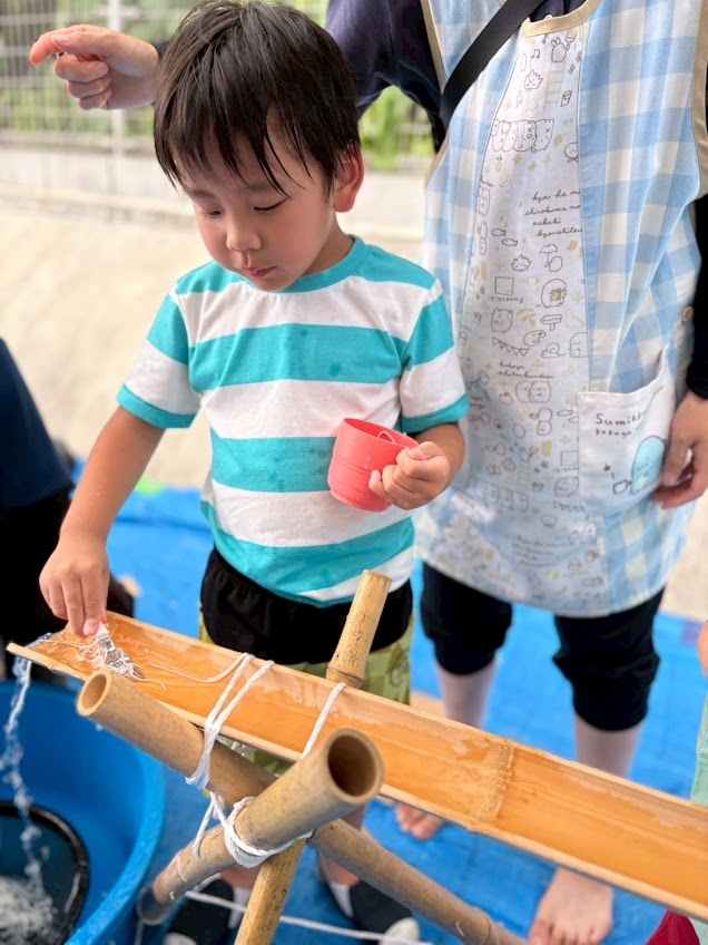 ぱれっと活動内容
